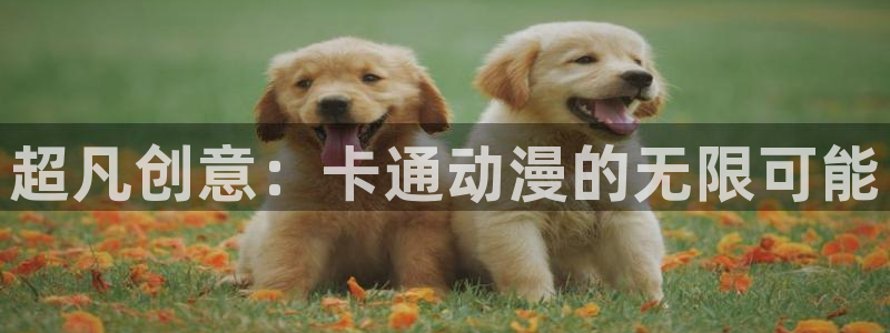 漫岛动漫官网网页版