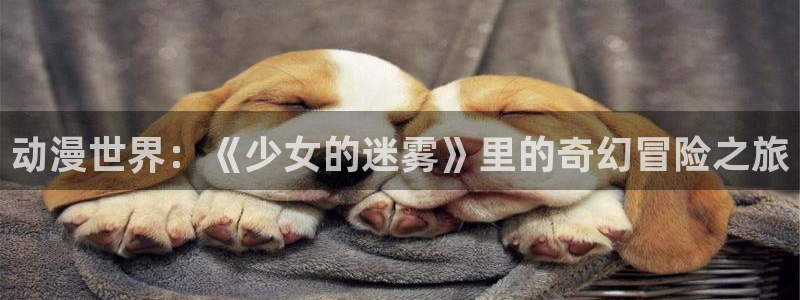 漫岛动漫首页