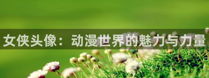 漫岛动漫专注动漫的门户网站