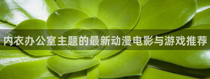 漫岛动漫国